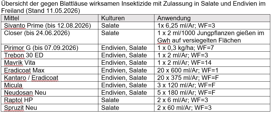 allbfr_Infodienst 2026_05_12 Tabelle Insektizide Salat_lkbh Übersicht Blattlaus-Insektizide in Salat