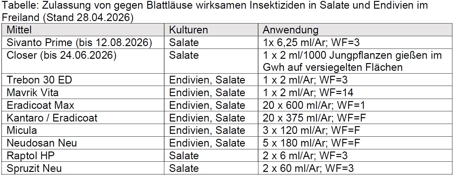 Insektizide gegen Blattläuse an Salat im Freiland April 2026